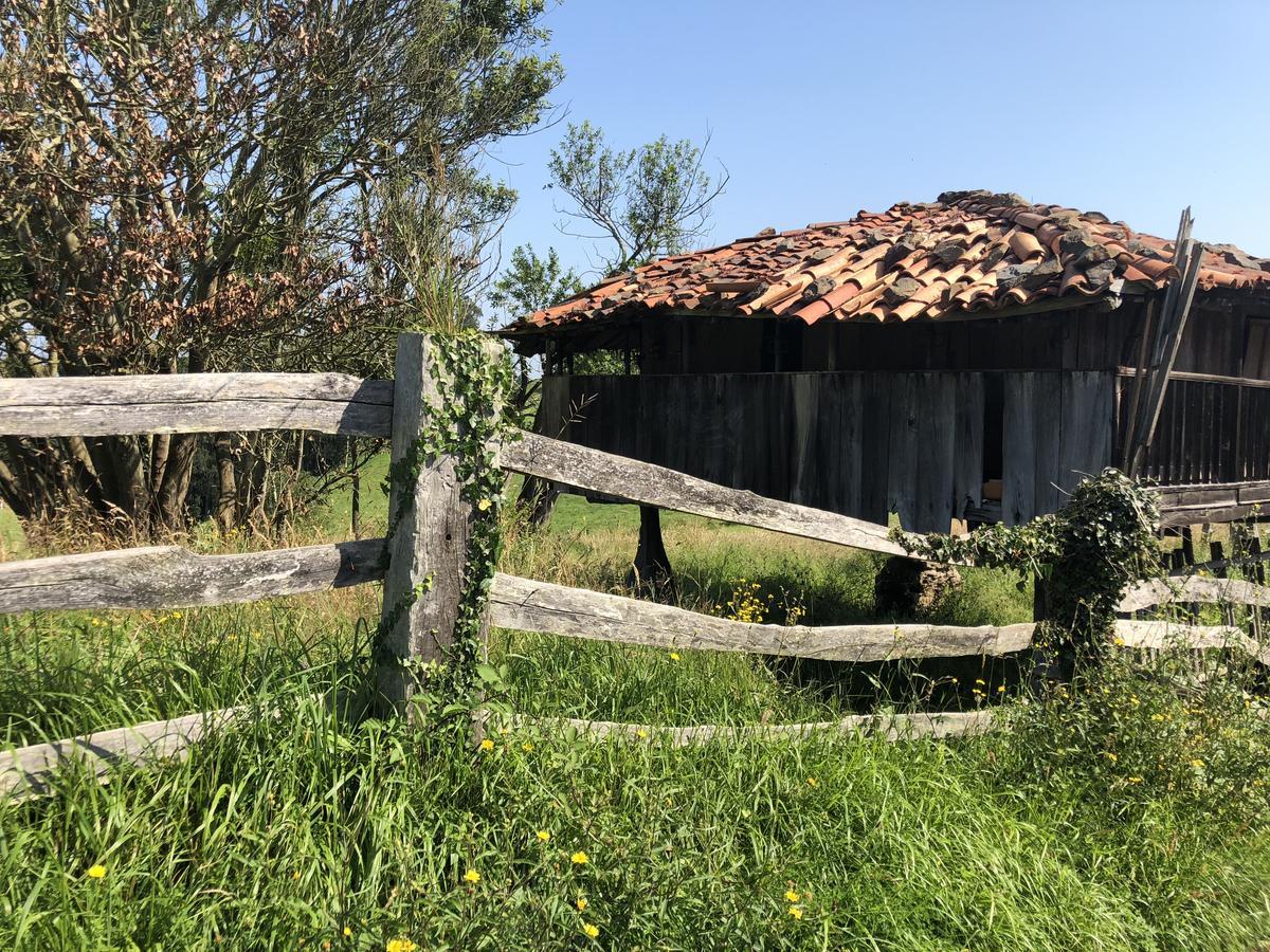 Hotel Tejera Del Nalon Сото дел Барко Екстериор снимка